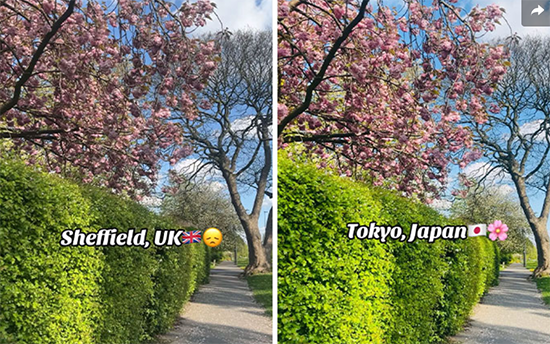 郑州配资网在线登录 中国外交官辟谣：这是在中国，不是日本